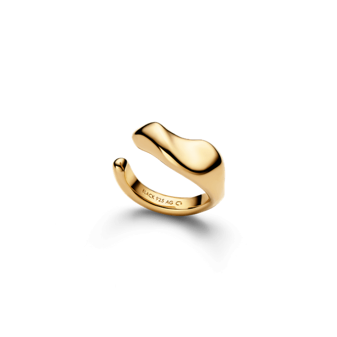 Hovedbilde Saddle Ear Cuff Gold